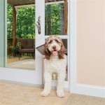 Giant Breed Dog Door For Sliding Glass