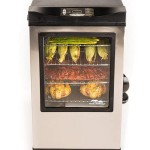 Masterbuilt Electric Smoker With Glass Door