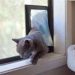 Plexiglass Cat Door