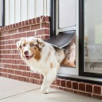 Sliding Glass Doors Doggie Door Insert